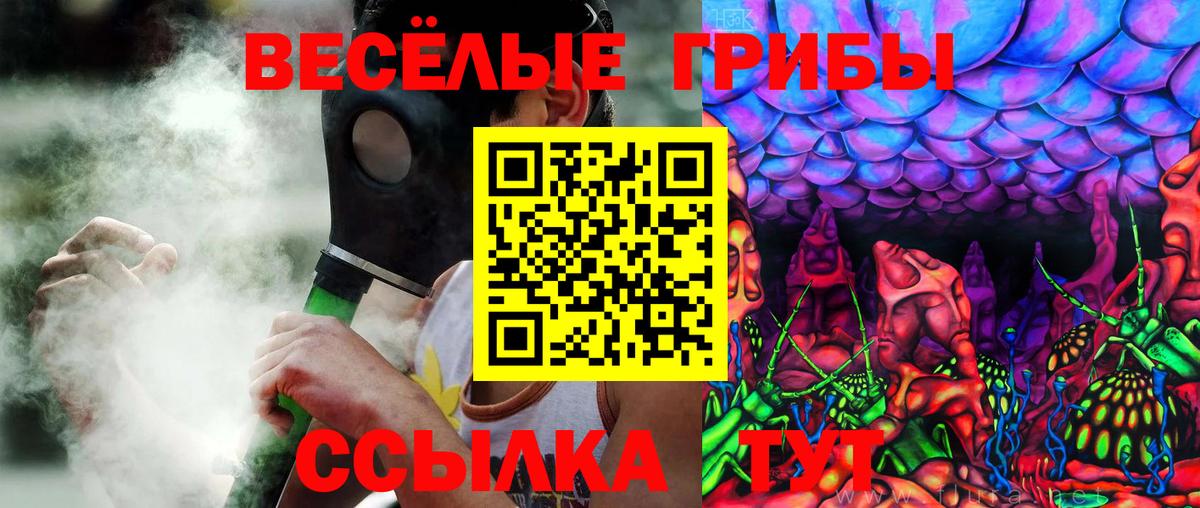 Галлюциногенные грибы Cubensis Прохладный